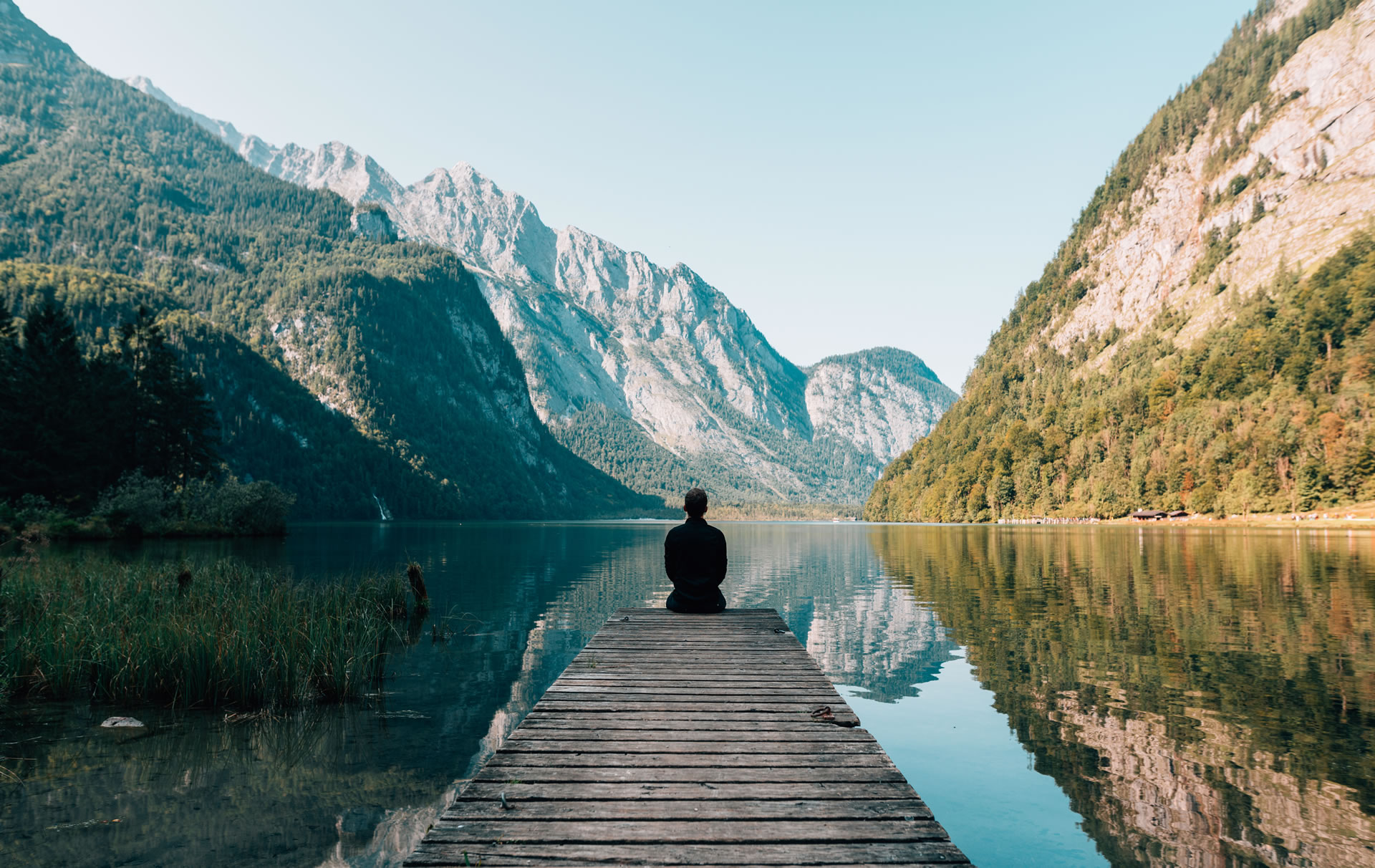 Cómo proteger nuestro planeta y vivir en armonía con la vida natural